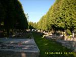 hřbitov IV 18052012.JPG